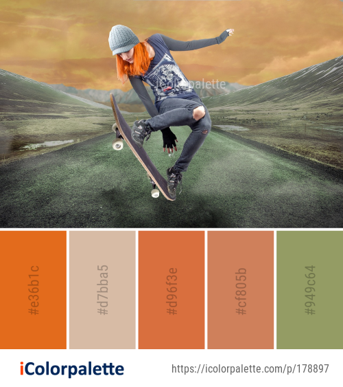 Color Palette Ideas From Skateboard Skateboarding Equipment And Supplies Longboard Image Icolorpalette