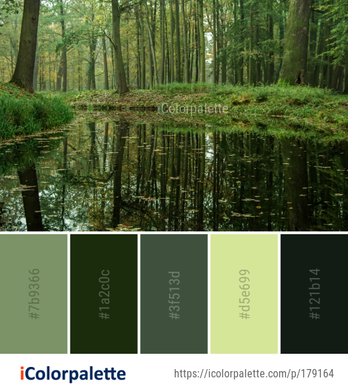 Color Palette Ideas From Reflection Vegetation Nature Image Icolorpalette