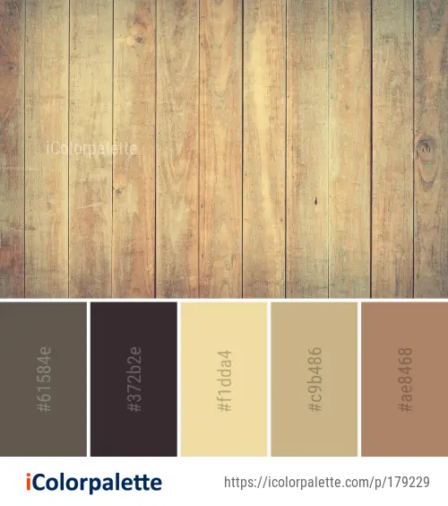 Color Palette Ideas from Wood Hardwood Stain Image | iColorpalette