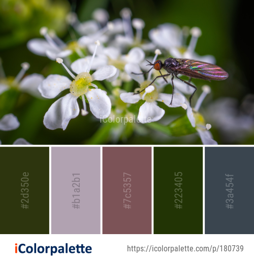 186 Fly Color Palette ideas in 2025 | iColorpalette