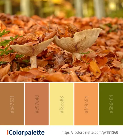 50 Autumn / Fall Color Palettes | Curated collection of Color Palettes