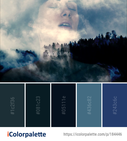 Color Palette Ideas from Sky Blue Cloud Image