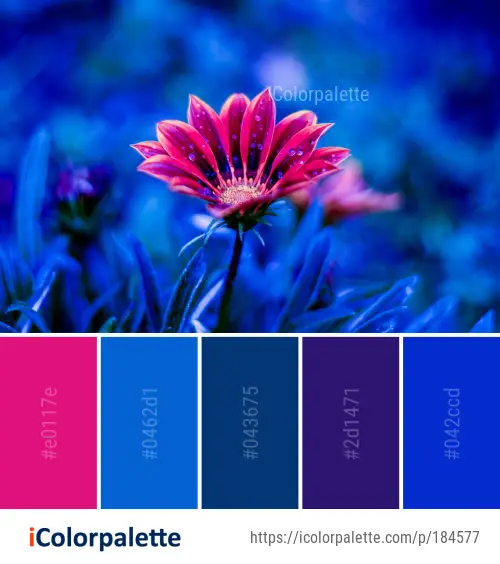Color Palette Ideas from Flower Flora Purple Image | iColorpalette