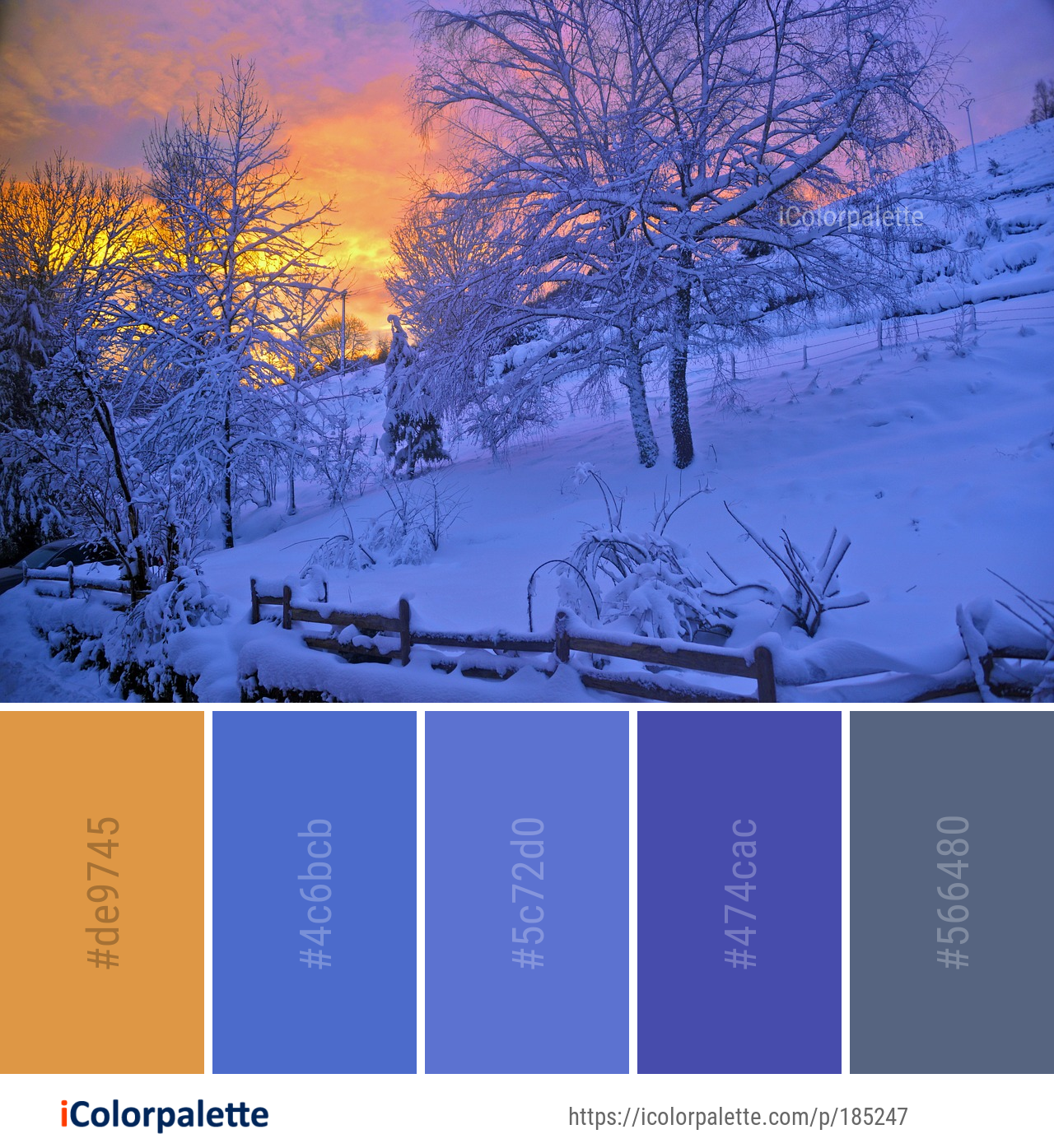 Color Palette Ideas from Snow Winter Sky Image | iColorpalette