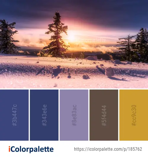 Color Palette Ideas from Sky Winter Snow Image | iColorpalette