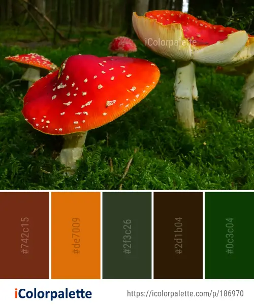 Color Palette Ideas from Fungus Mushroom Agaric Image | iColorpalette