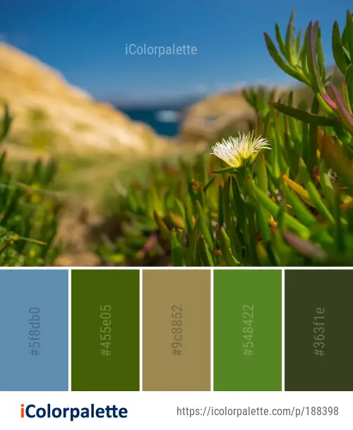 Color Palette Ideas From Vegetation Ecosystem Plant Image Icolorpalette