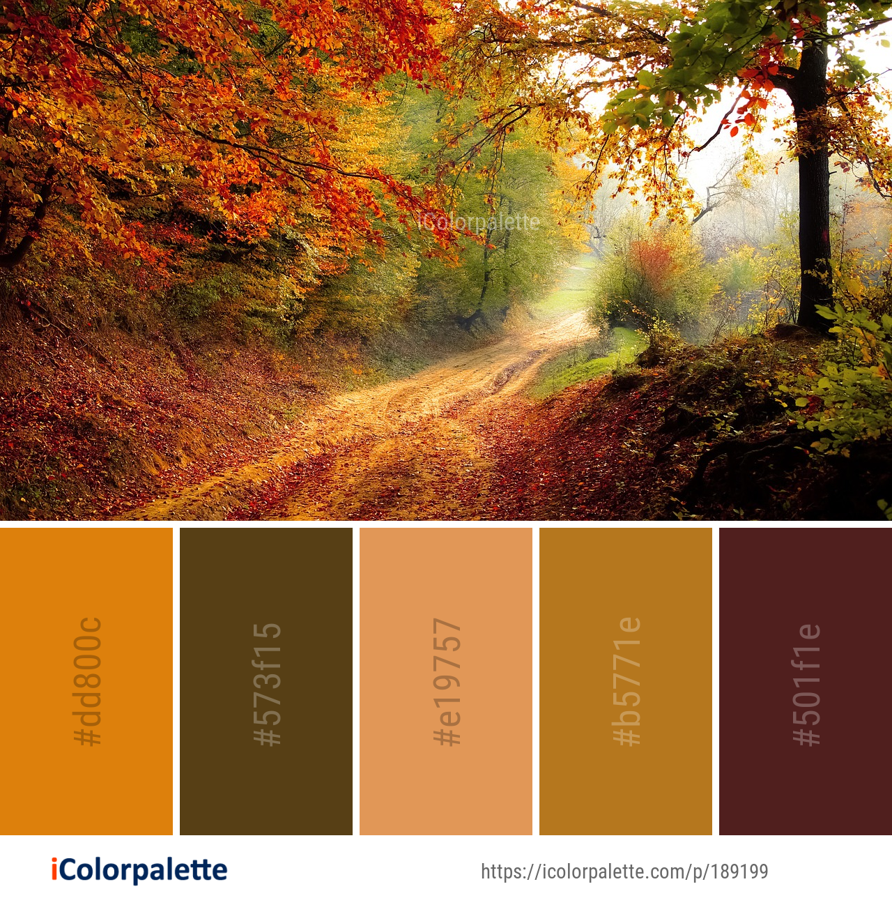 types of autumn color palette