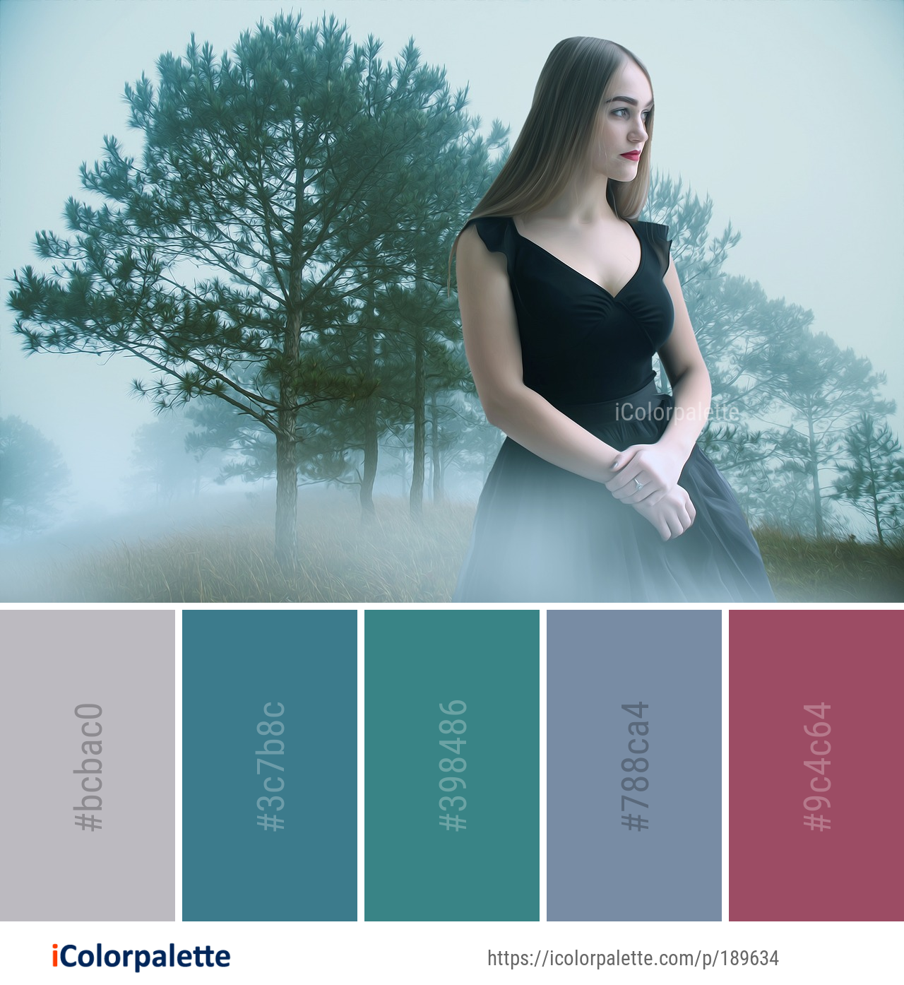 Color Palette Ideas from Photograph Beauty Girl Image | iColorpalette