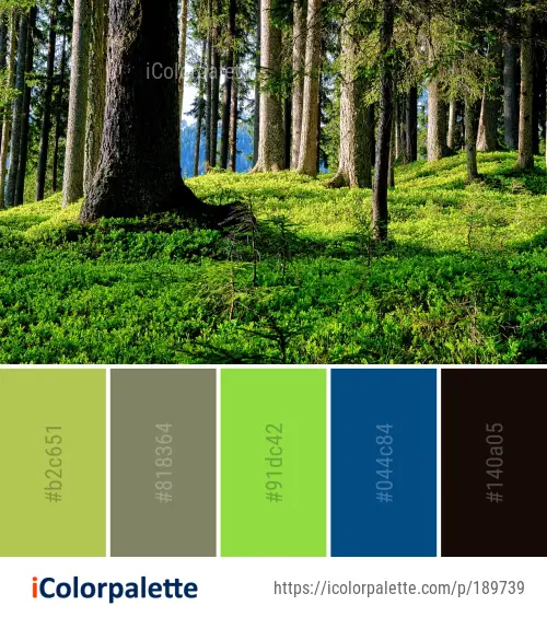 Forest Green Nature Color Palette