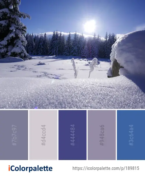 Color Palette Ideas from Snow Winter Sky Image | iColorpalette