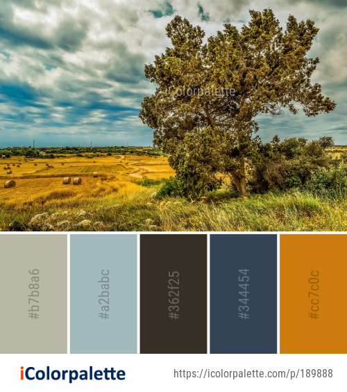 Color Palette Ideas from Sky Ecosystem Vegetation Image | iColorPalette