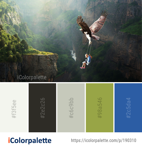 58+ Extreme Sport Color Palette ideas in 2026 | iColorPalette