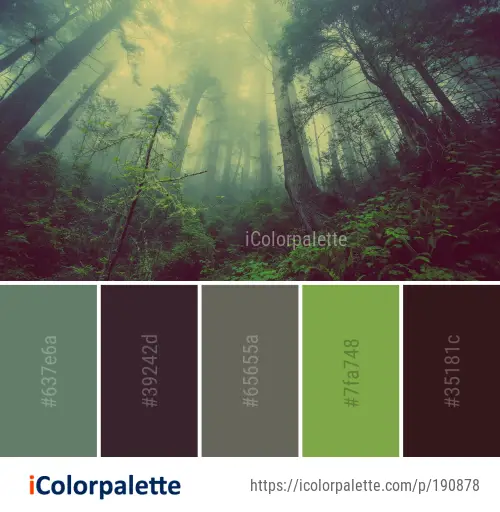 Color Palette Ideas from Forest Nature Green Image | iColorpalette