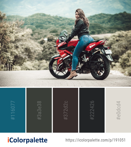 18 Motorcycle Color Palette ideas in 2025 | iColorpalette