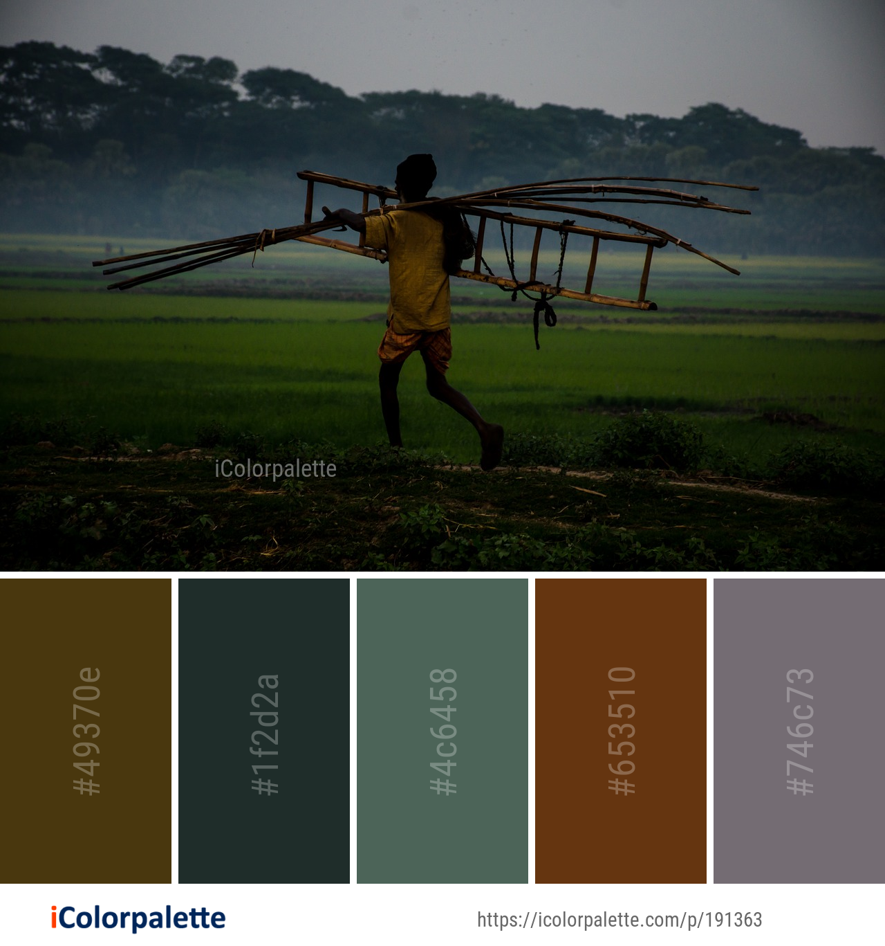 48+ Wind Color Palette ideas in 2025 | iColorPalette