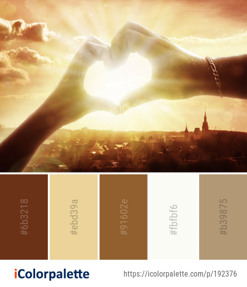 Color Palette Ideas from Sky Sun Sunlight Image | iColorpalette