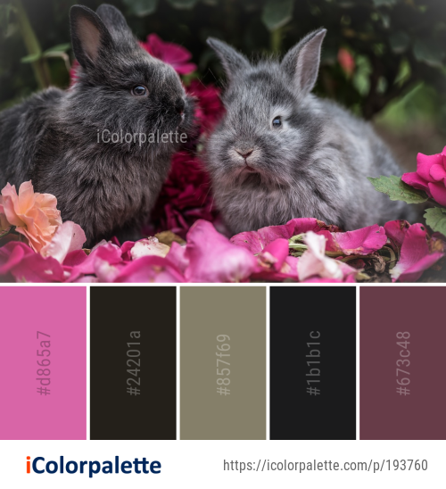 rabbit – Page 2 – iColorpalette