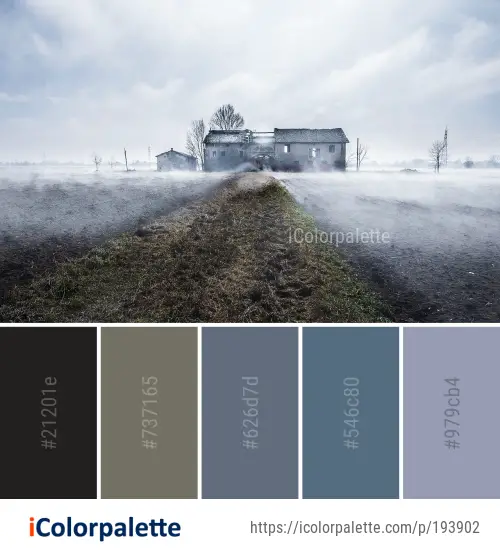 Color Palette Ideas From Sky Morning Mist Image Icolorpalette