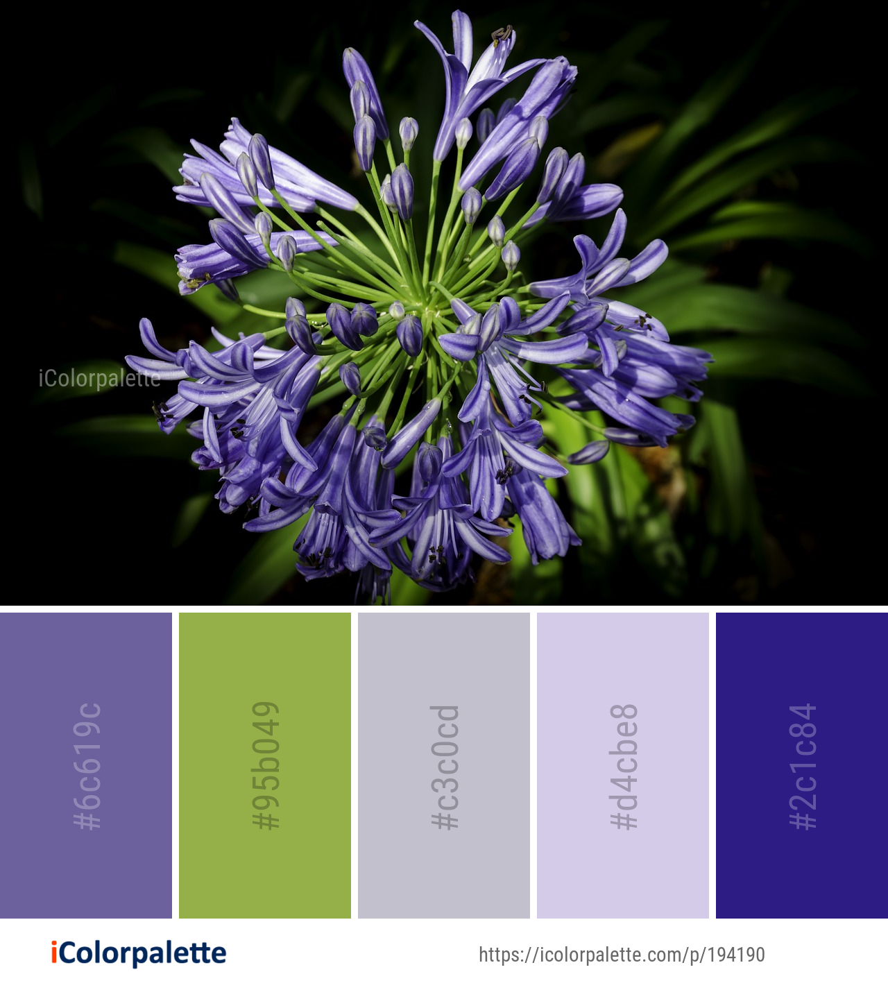 Color Palette Ideas from Flower Plant Flora Image iColorpalette