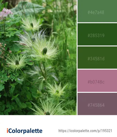 Color Palette Ideas From Plant Flower Vegetation Image Icolorpalette