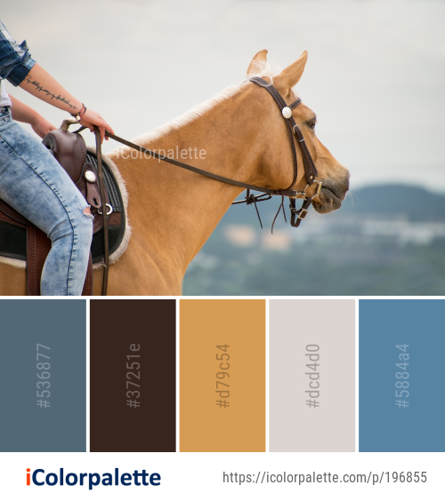Color Palette Ideas from Horse Bridle Rein Image | iColorpalette