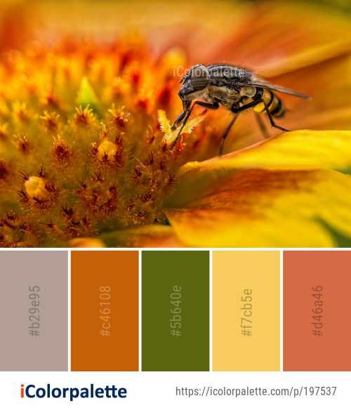 Color Palette Ideas from Honey Bee Insect Image | iColorpalette