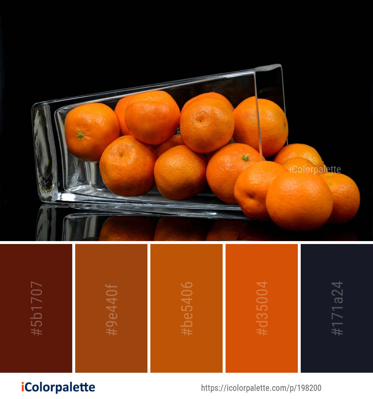 Color Palette Ideas from Clementine Tangerine Citrus Image iColorpalette