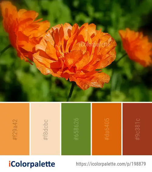 Color Palette Ideas from Flower Wildflower Vegetation Image | iColorpalette