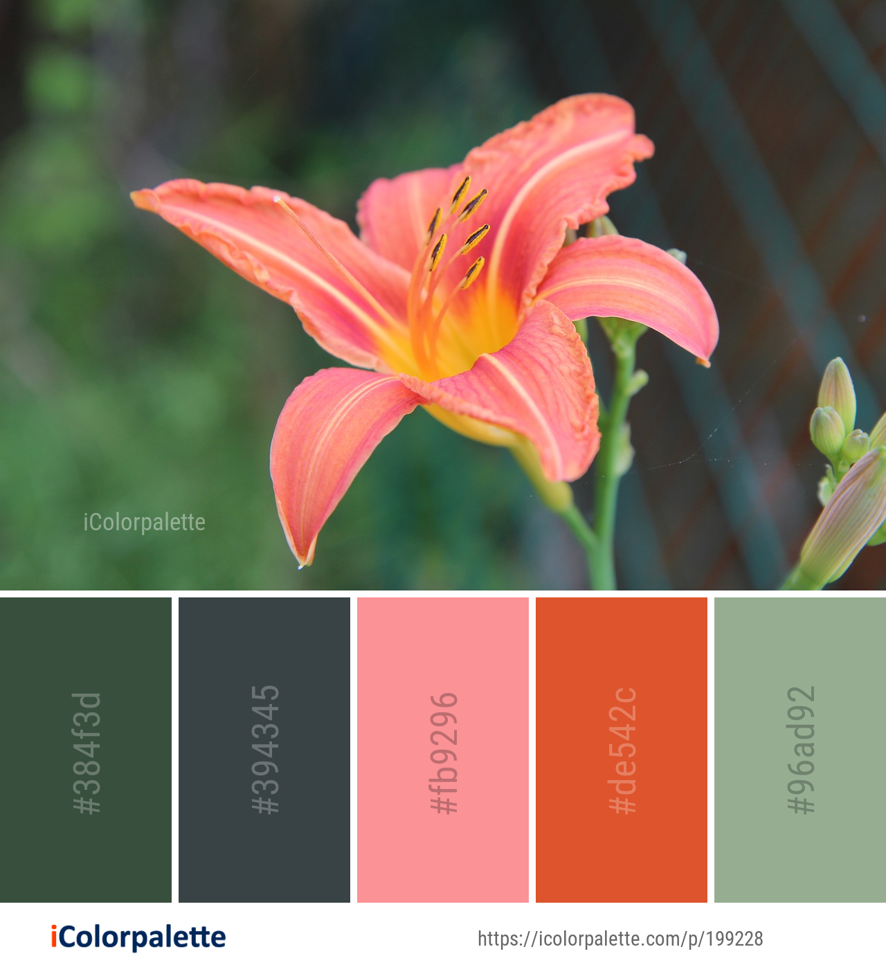 Color Palette Ideas from Flower Lily Flora Image iColorpalette