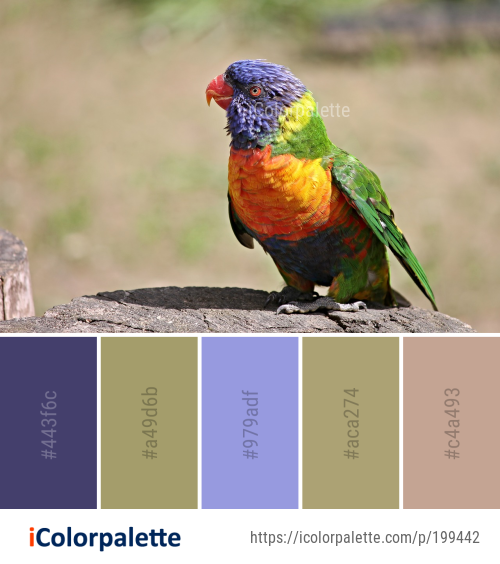 88+ Parrot Color Palette ideas in 2026 | iColorPalette