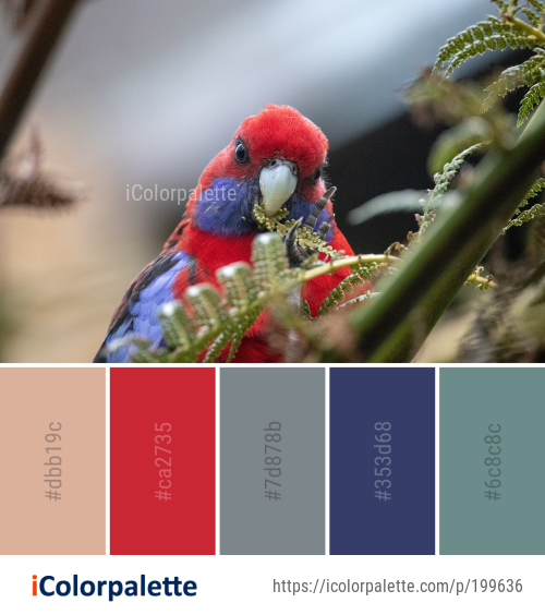 88+ Parrot Color Palette ideas in 2026 | iColorPalette