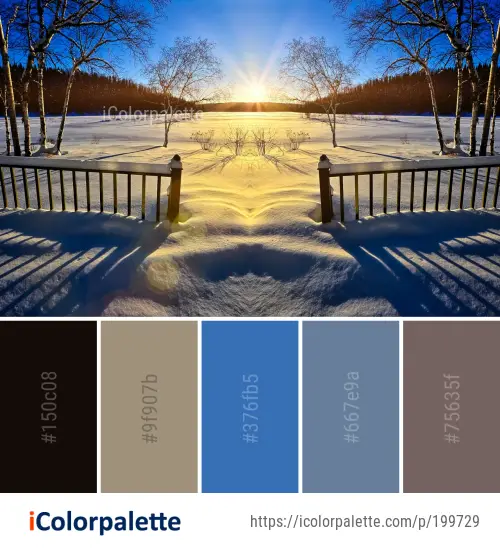 Color Palette Ideas from Winter Snow Nature Image | iColorpalette