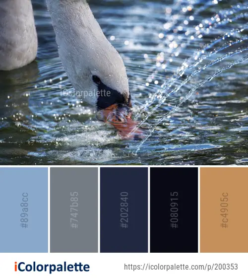 Color Palette Ideas from Bird Water Fauna Image | iColorpalette