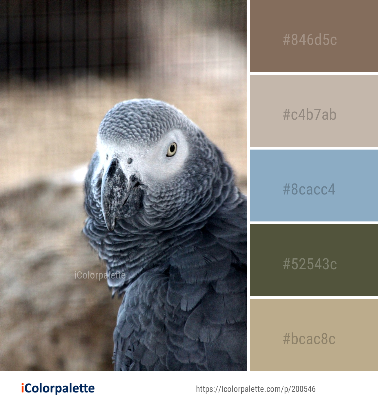 88+ Parrot Color Palette ideas in 2026 | iColorPalette