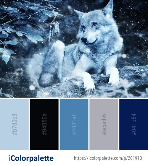 Color Palette Ideas from Wolf Wildlife Nature Image | iColorpalette