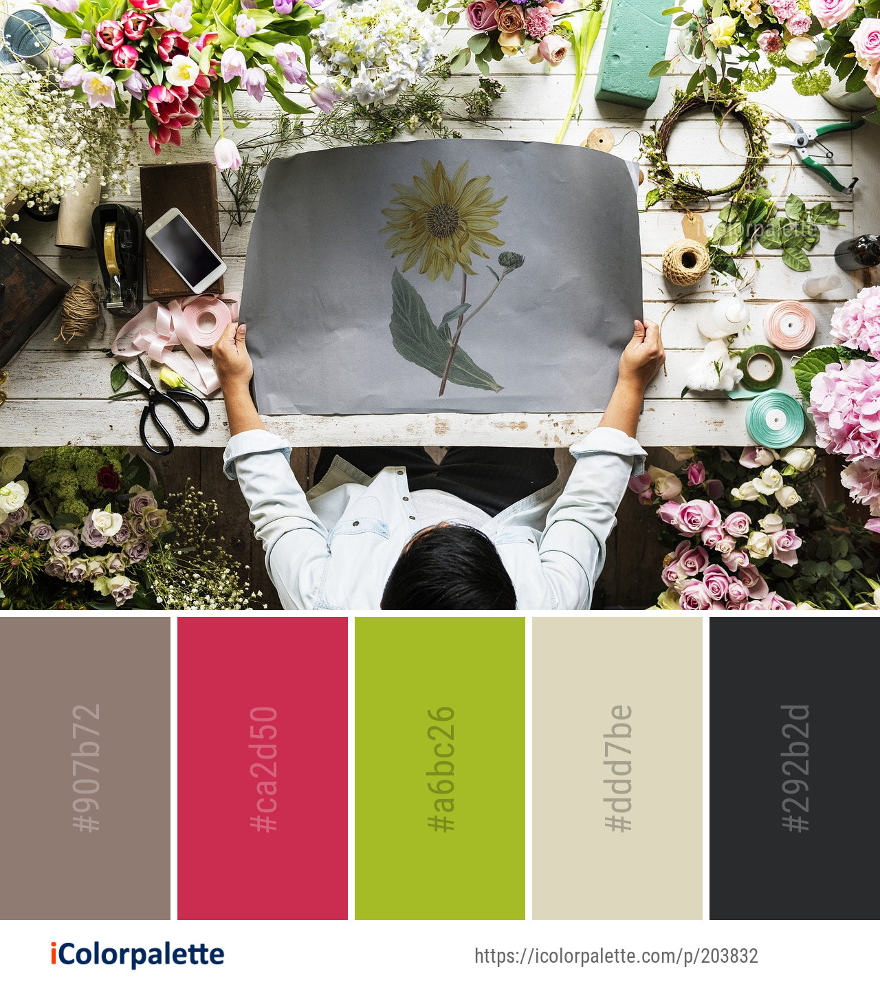 Color Palette Ideas from Flower Arranging Bouquet Image iColorpalette