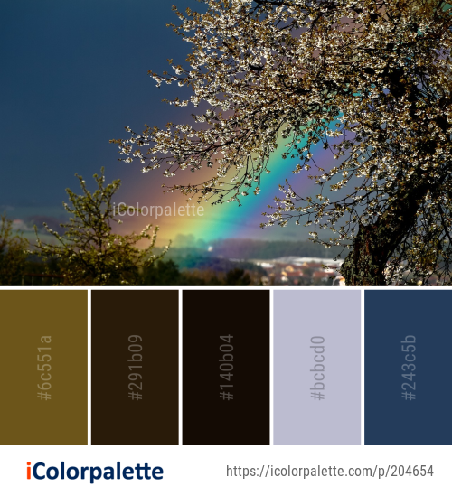 Color Sky Tree Color Palette Ideas from Sky Nature Tree Image | iColorpalette