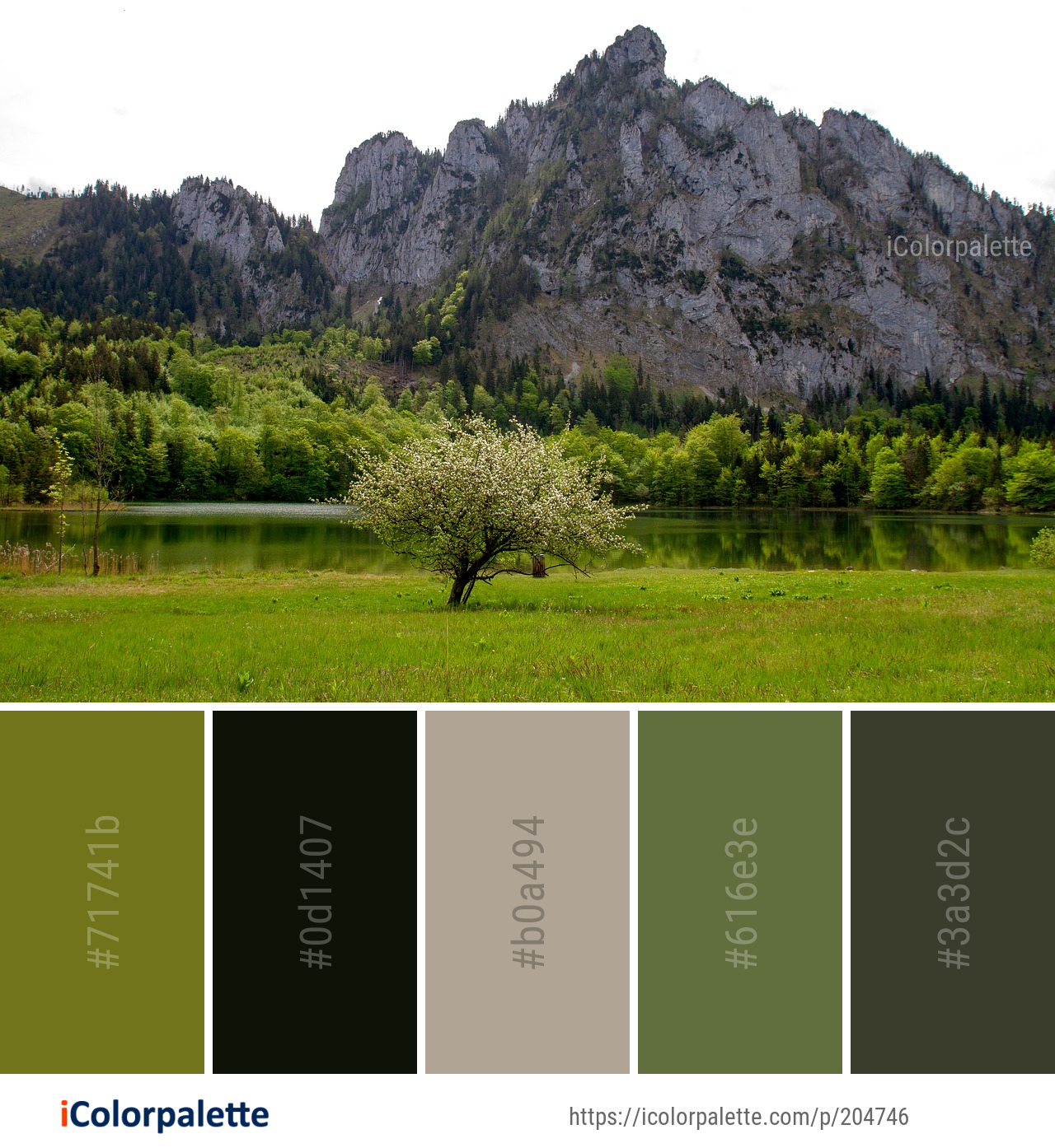 Color Palette Ideas From Nature Vegetation Ecosystem Image Icolorpalette