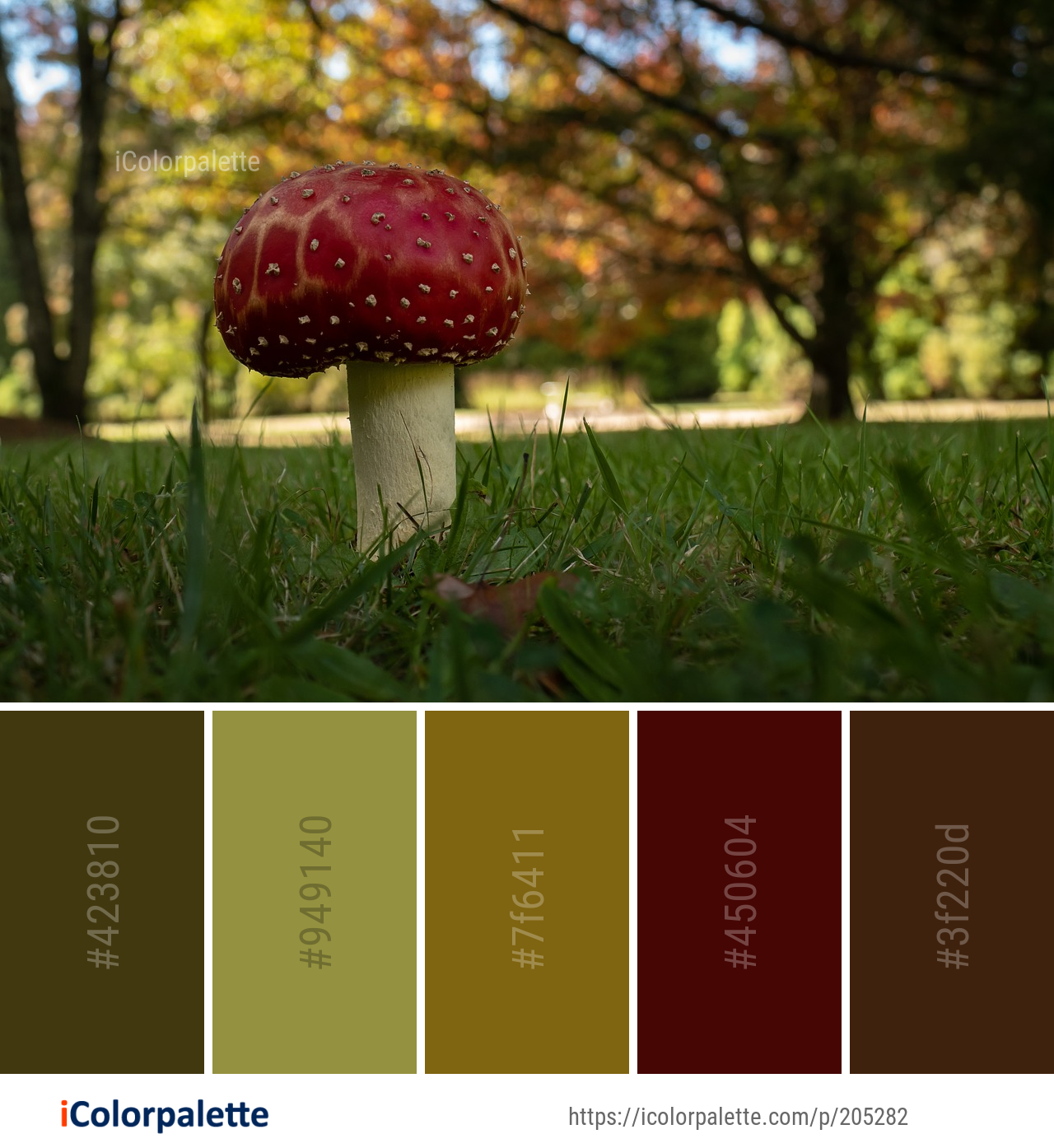 Color Palette Ideas from Leaf Mushroom Fungus Image | iColorpalette