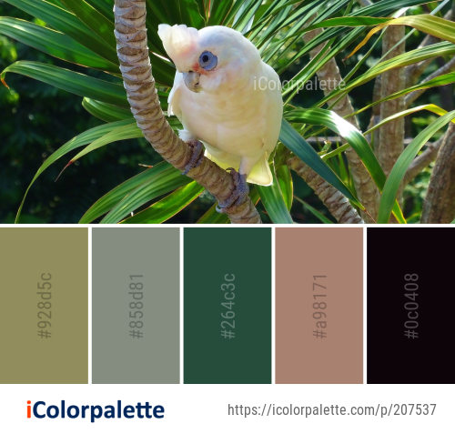 88+ Parrot Color Palette ideas in 2026 | iColorPalette
