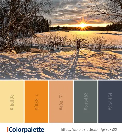 Color Palette Ideas from Snow Winter Sky Image | iColorpalette