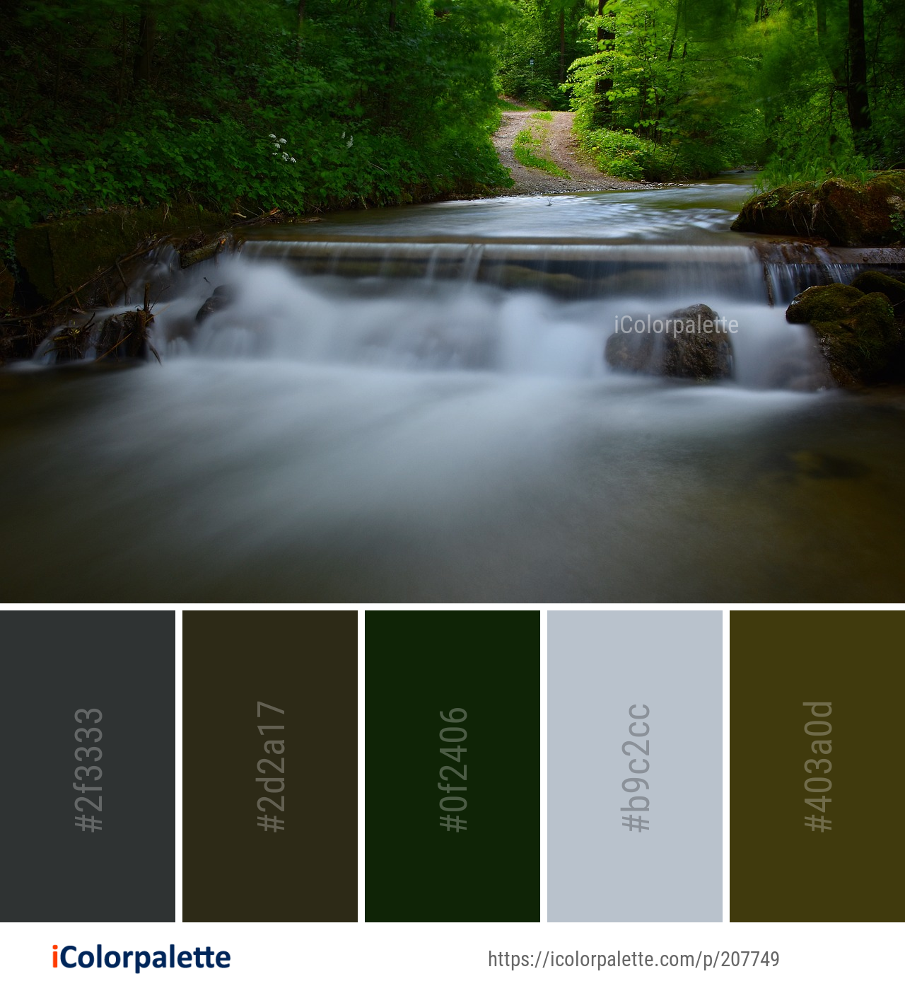 Color Palette Ideas from Water Nature Stream Image | iColorpalette