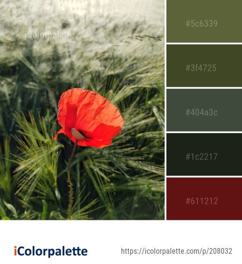 Color Palette Ideas from Flower Wildflower Poppy Image | iColorpalette