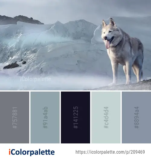 Download Color Palette Ideas from Dog Like Mammal Saarloos Wolfdog Czechoslovakian Image | iColorpalette