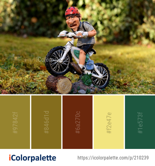 Color Palette Ideas from Land Vehicle Bicycle Cycle Sport Image