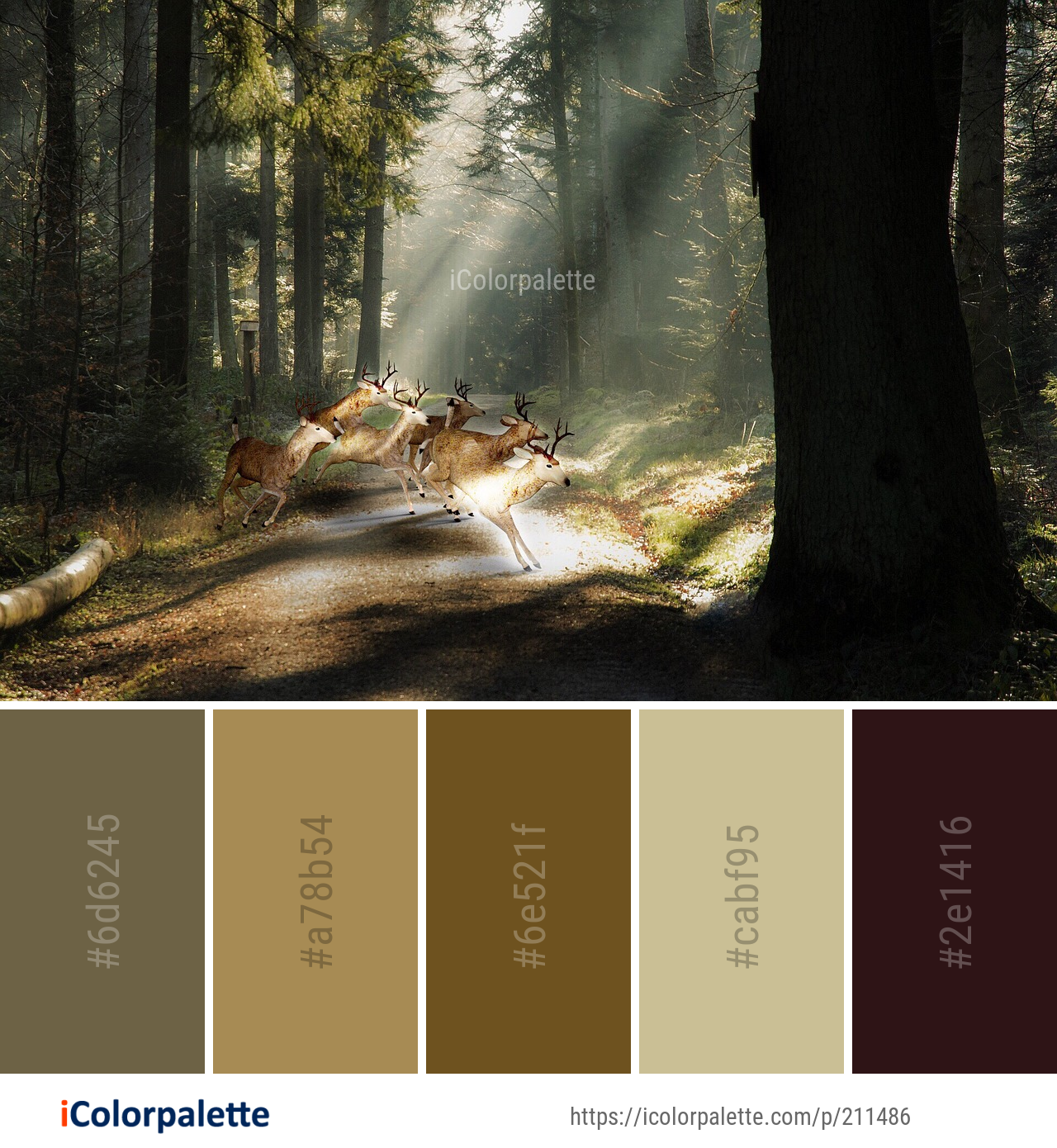 Color Palette Ideas From Forest Woodland Ecosystem Image Icolorpalette