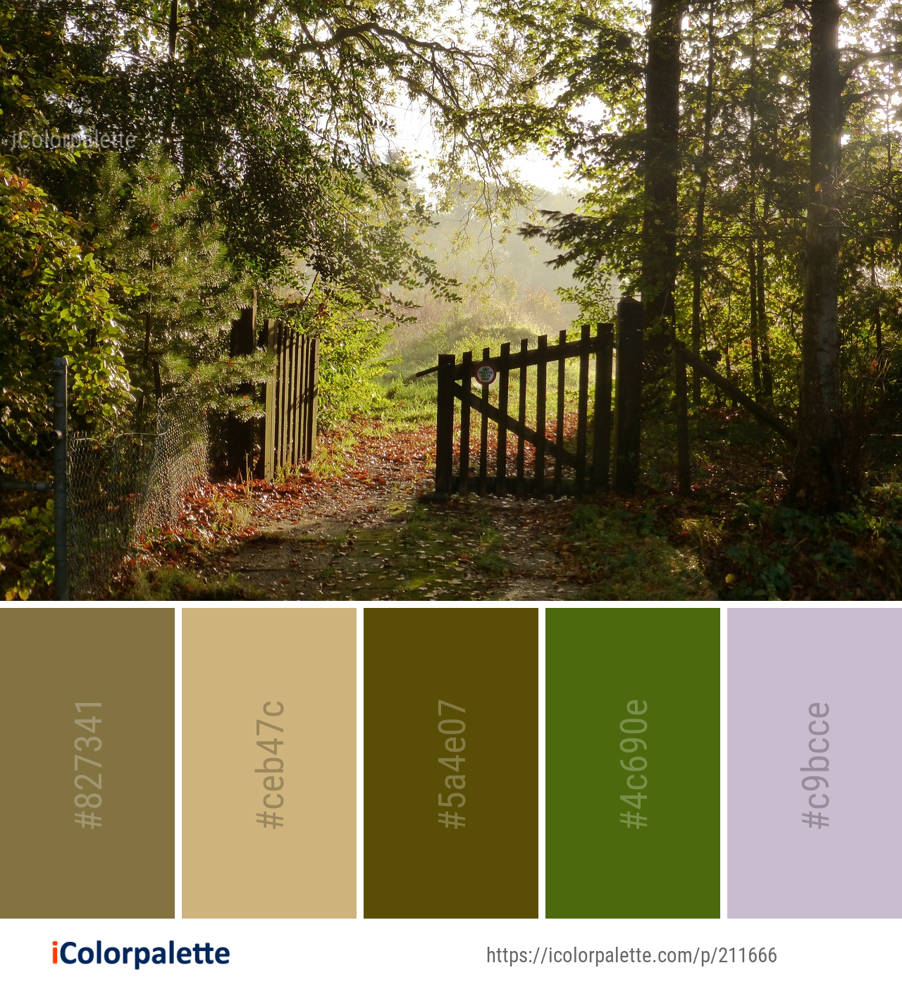 Color Palette Ideas from Woodland Nature Path Image | iColorpalette