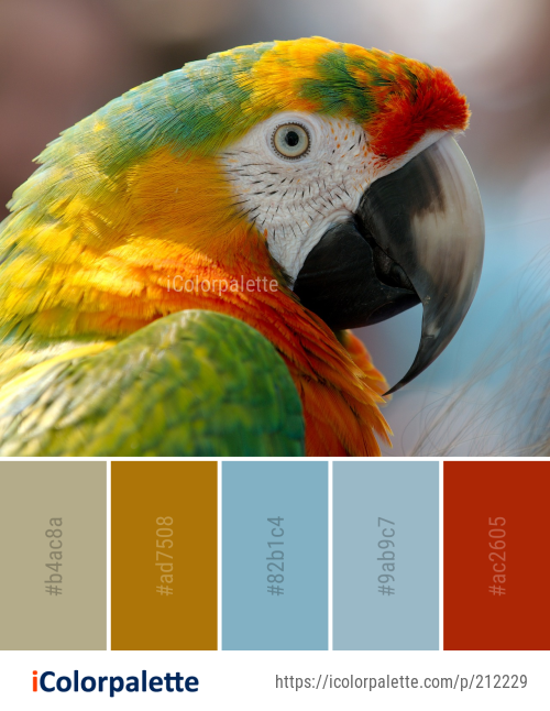 Color Palette Ideas from Beak Bird Parrot Image | iColorPalette