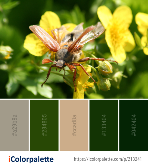 Color Palette Ideas from Insect Bee Honey Image | iColorpalette